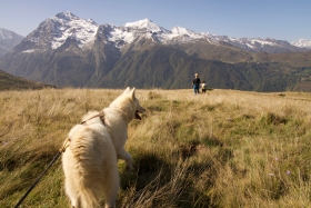 Walking with huskies in the Pyrenees