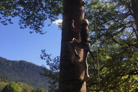 Tree climbing in the Pyrenees