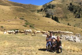 Family hike to meet the shepherd in the Pyrenees mountains